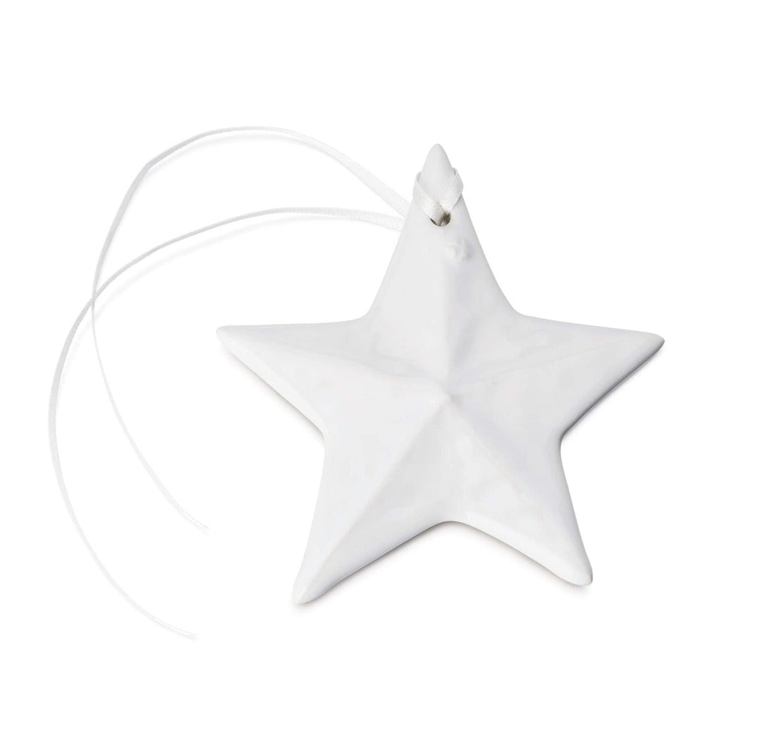 Star Pottery Ornament Dove