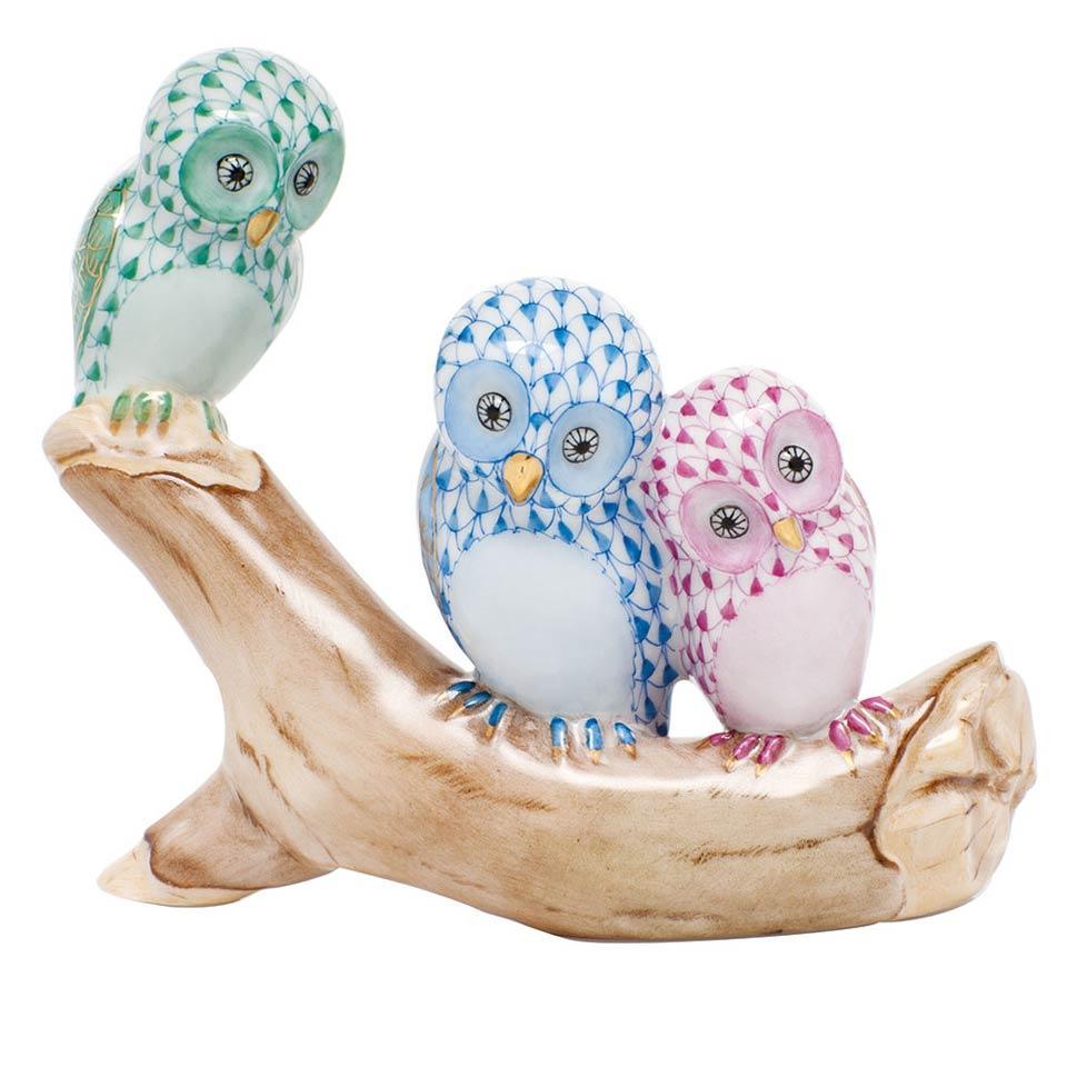 Owls On Branch