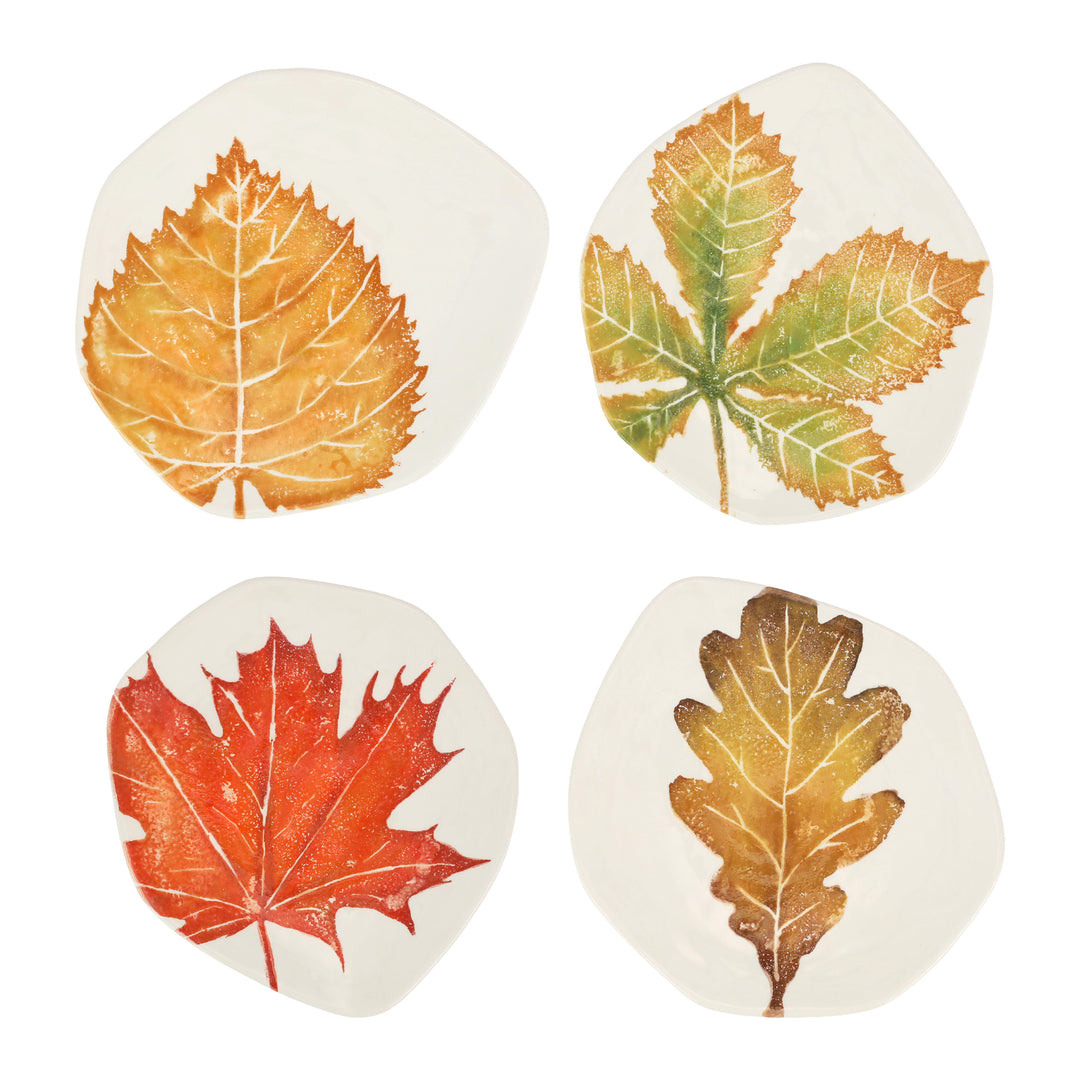 Autunno Assorted Salad Plates (Set of 4)