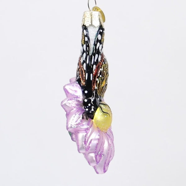 Monarch Butterfly on Flower