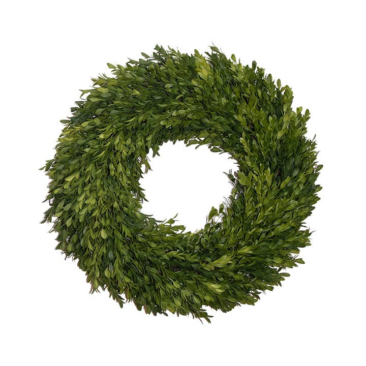 Round Boxwood Wreath 18" Case of 6