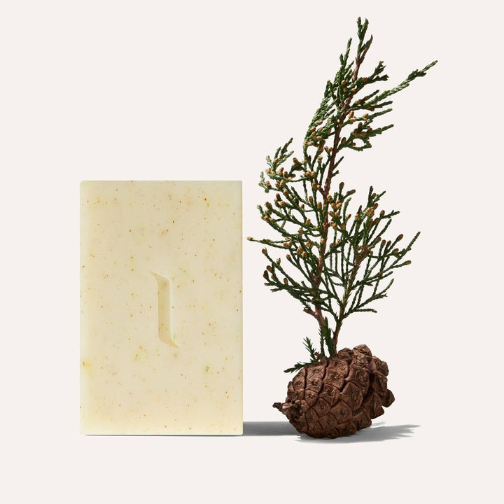 Patchouli and Pine Natural Bar Soap, Plant-Based, 6.4oz