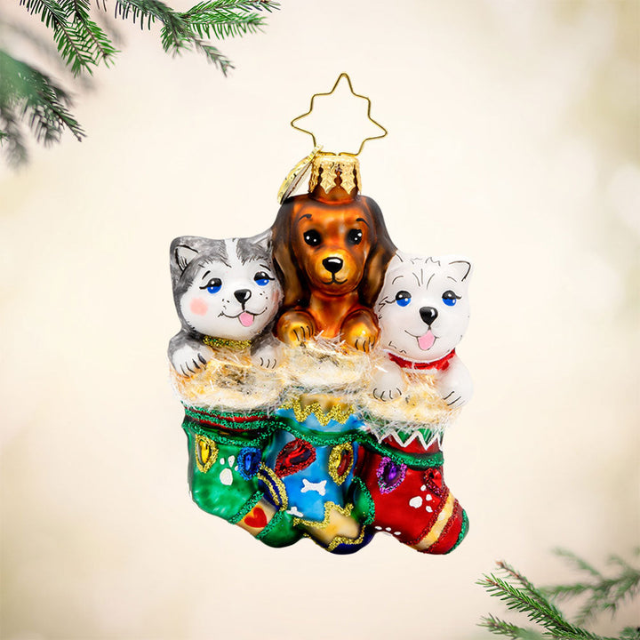 Puppy Presents Gem Ornament