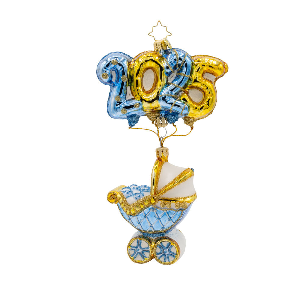 2025 Baby Blue Cradle of Celebration