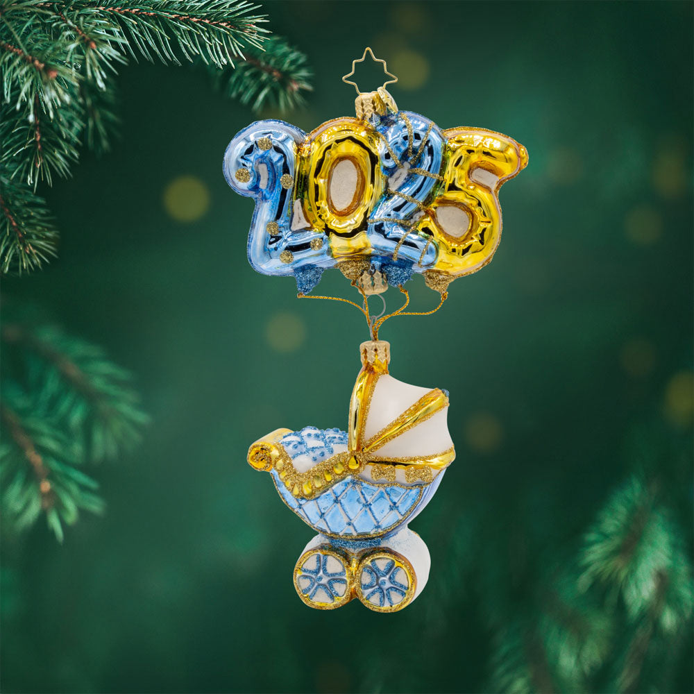 2025 Baby Blue Cradle of Celebration
