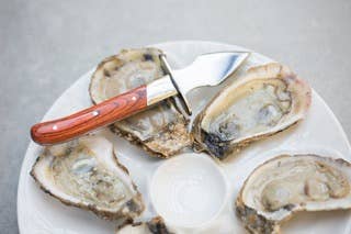 The Carolina Shucker