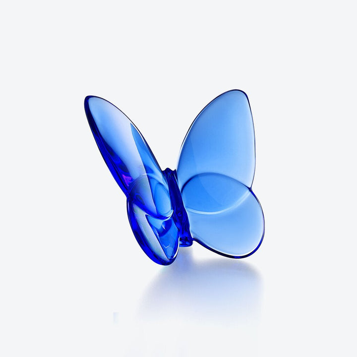 Papillon Lucky Butterfly