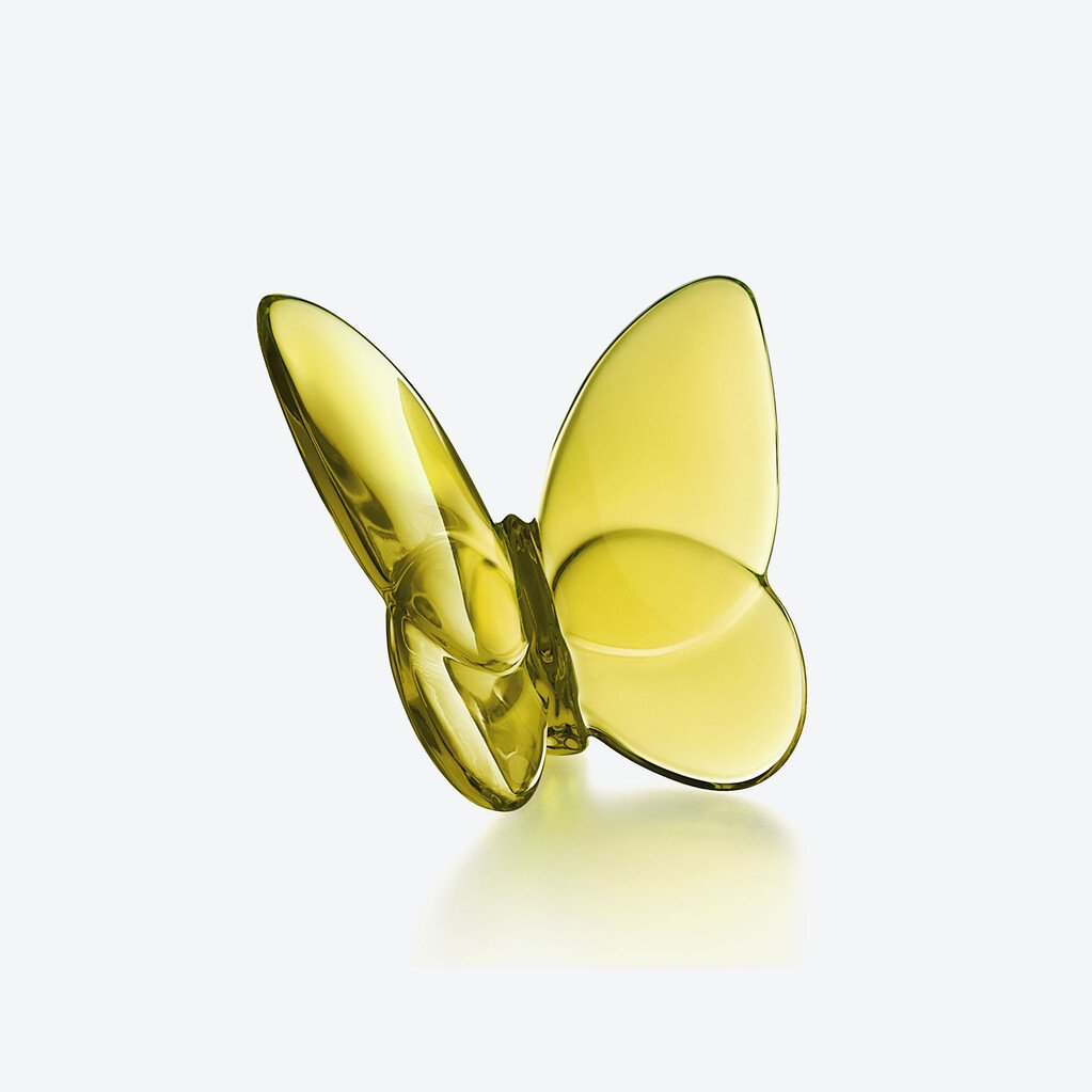 Papillon Lucky Butterfly