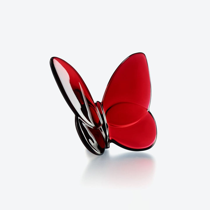 Papillon Lucky Butterfly