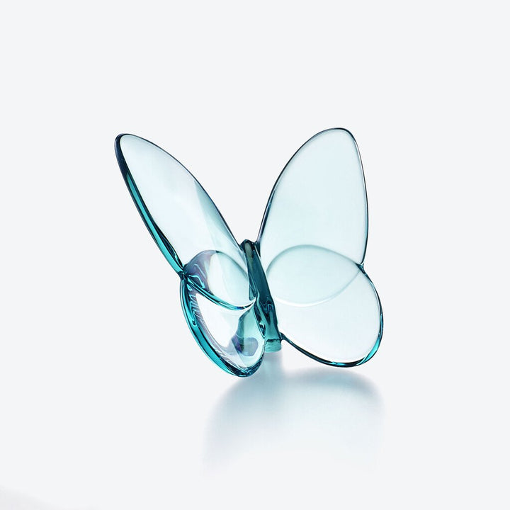 Papillon Lucky Butterfly