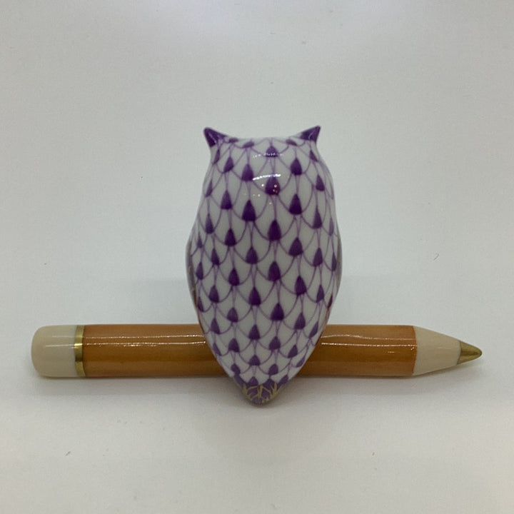 Teacher Owl