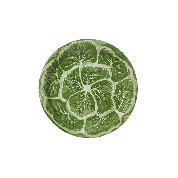 Melissa's Garden Cabbage Salad and Dessert Plates Pack of 8