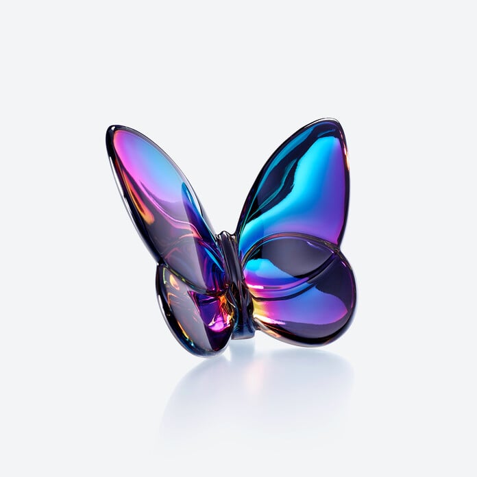 Papillon Lucky Butterfly