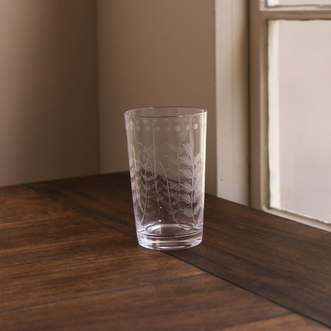Glass Fern With Dots Tumbler Set Of 4 (Clear)