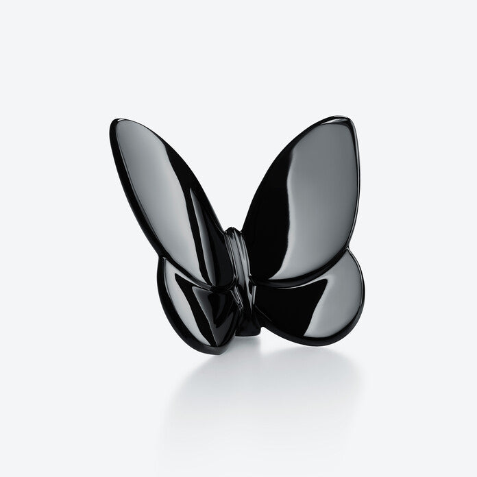 Papillon Lucky Butterfly