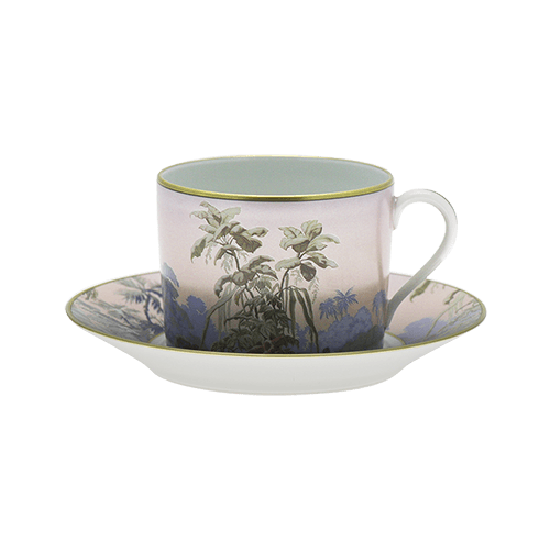 Le Bresil Teacup & Saucer
