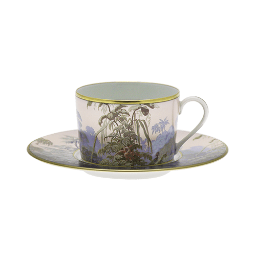 Le Bresil Cappuccino Cup & Saucer