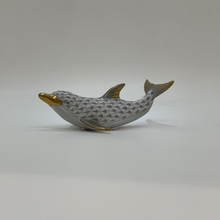 Playful Dolphin