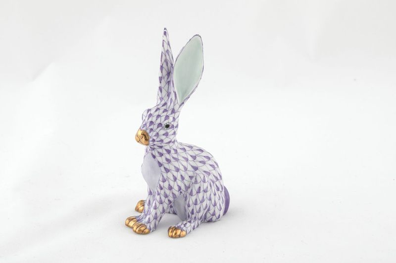 Jack Rabbit