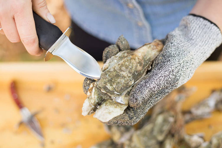 The Charleston Shucker Knife