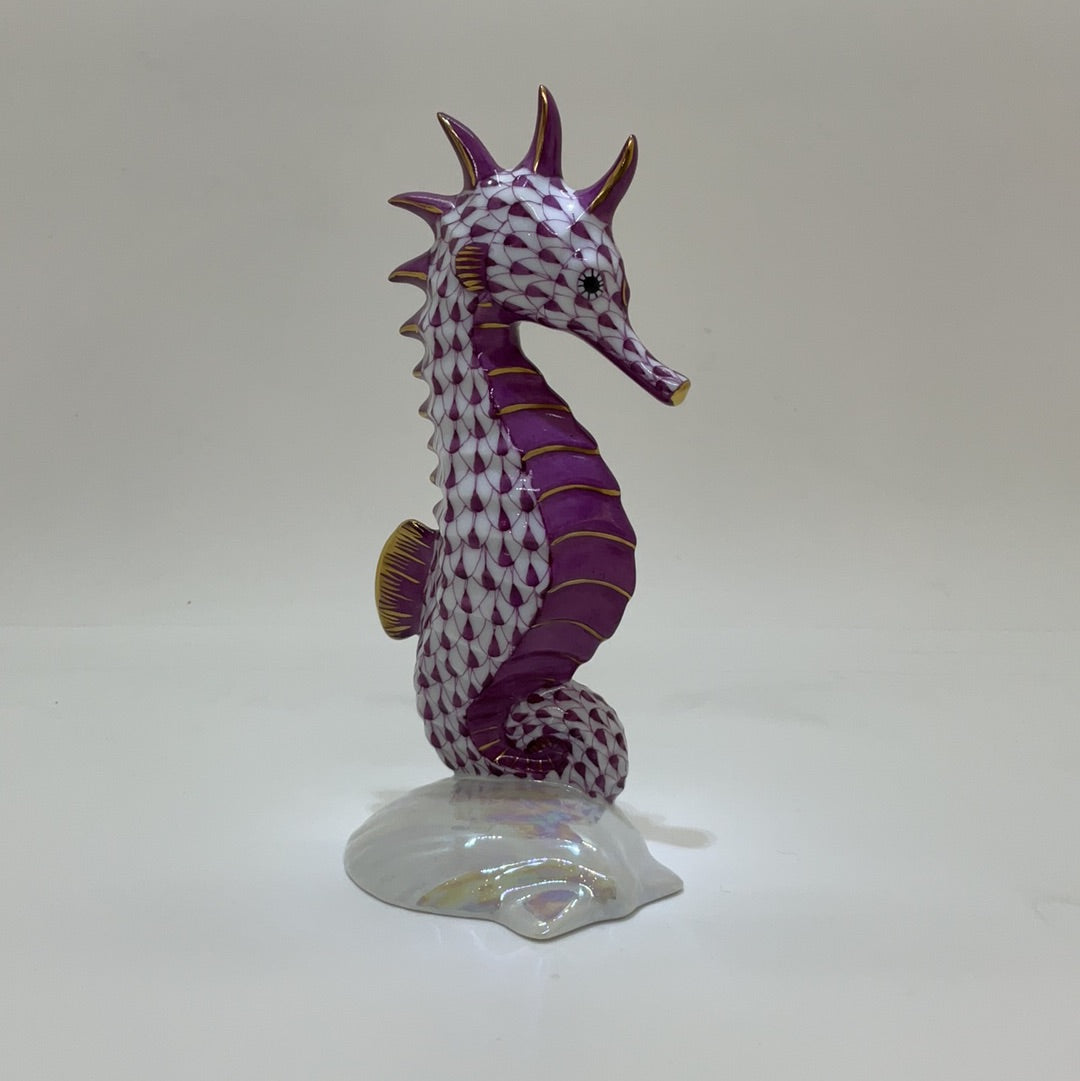 Seahorse On Scallop Shell