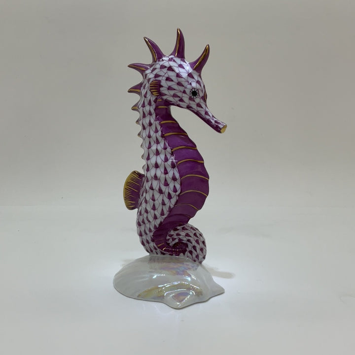 Seahorse On Scallop Shell