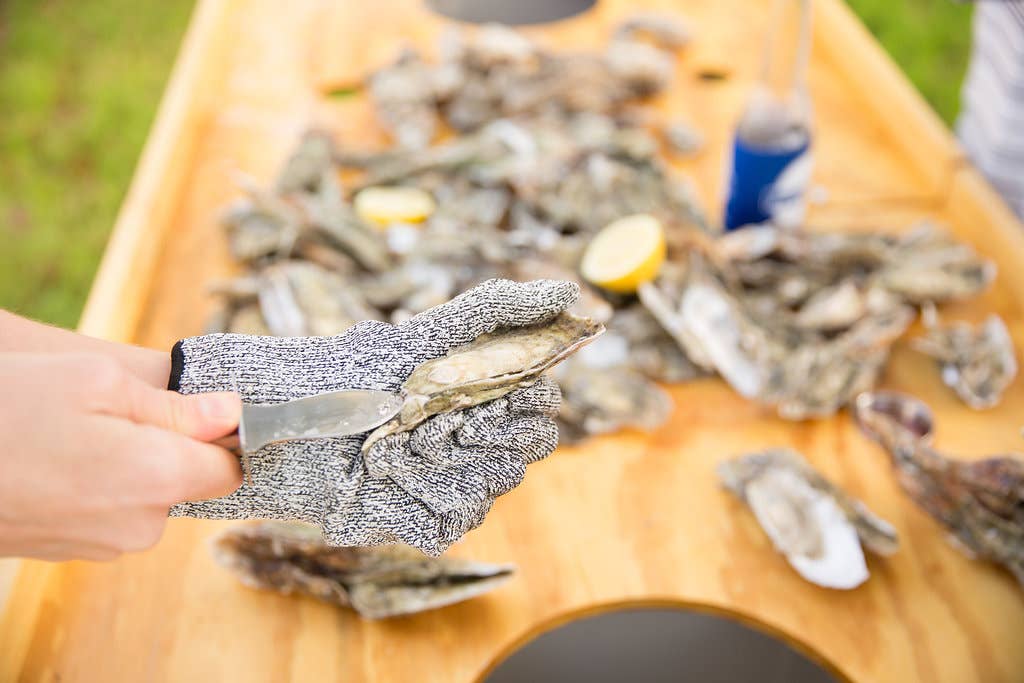 Cut Resistant Shucking Gloves