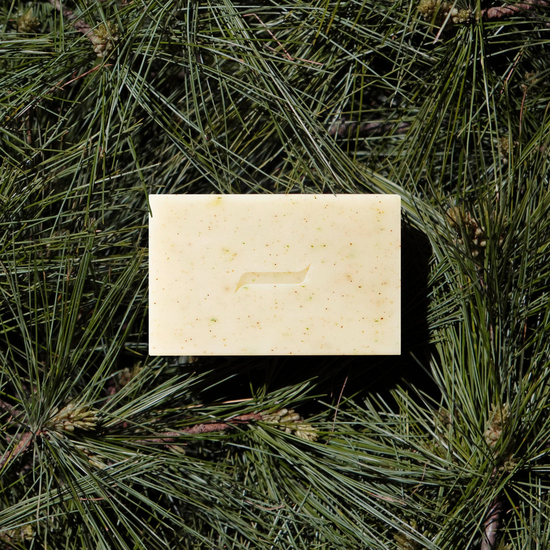 Patchouli and Pine Natural Bar Soap, Plant-Based, 6.4oz