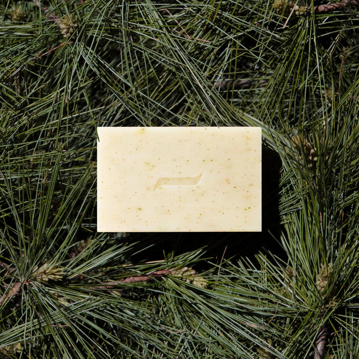 Patchouli and Pine Natural Bar Soap, Plant-Based, 6.4oz
