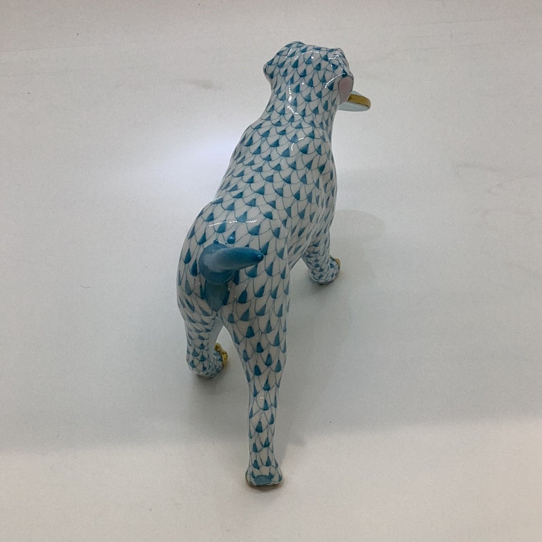 Frisbee Dog