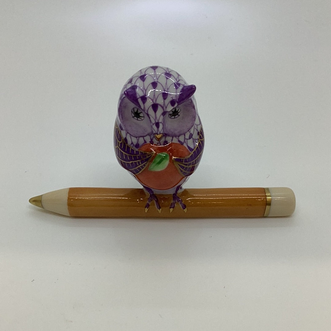 Teacher Owl