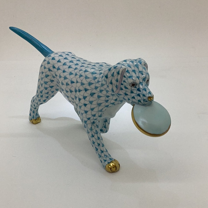 Frisbee Dog