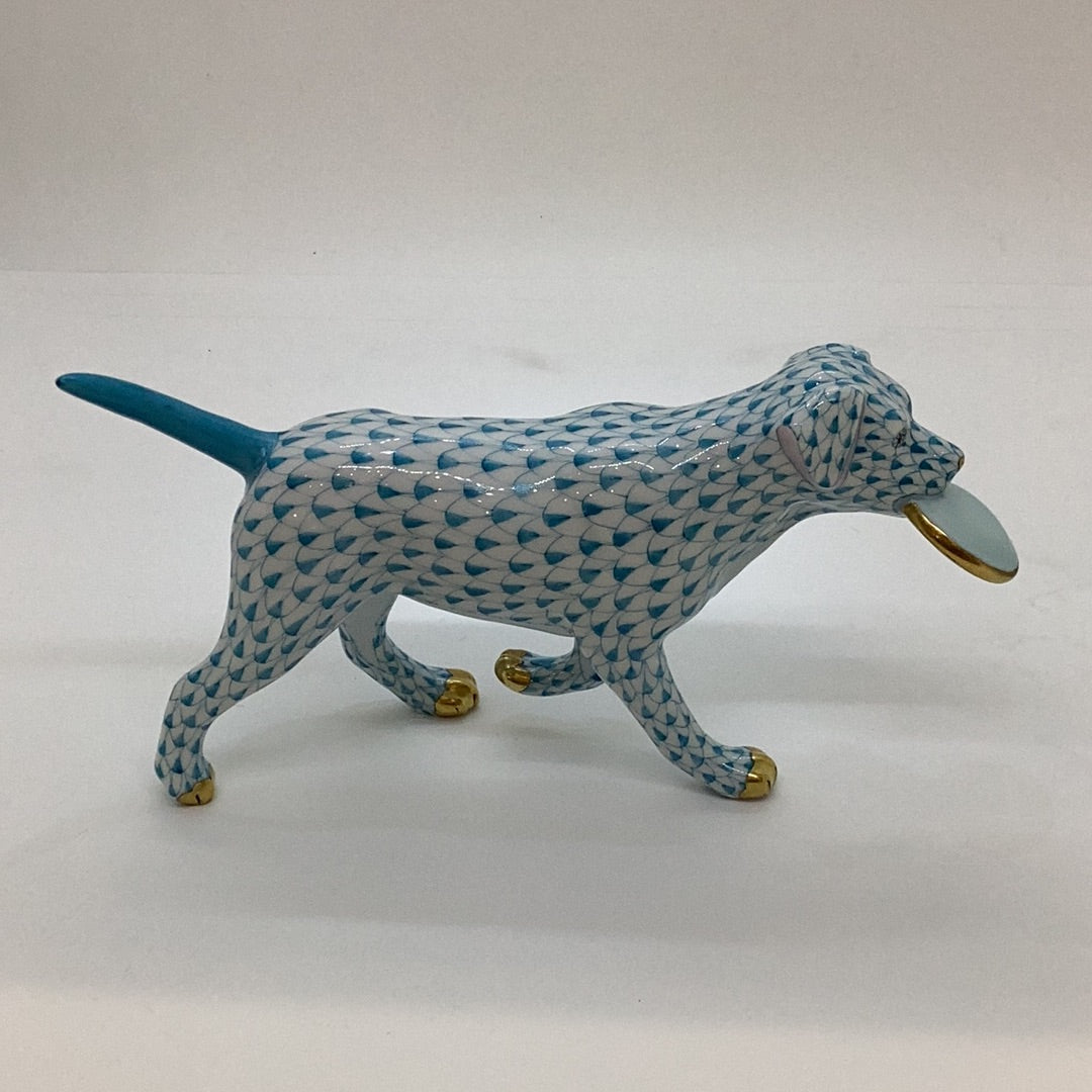 Frisbee Dog