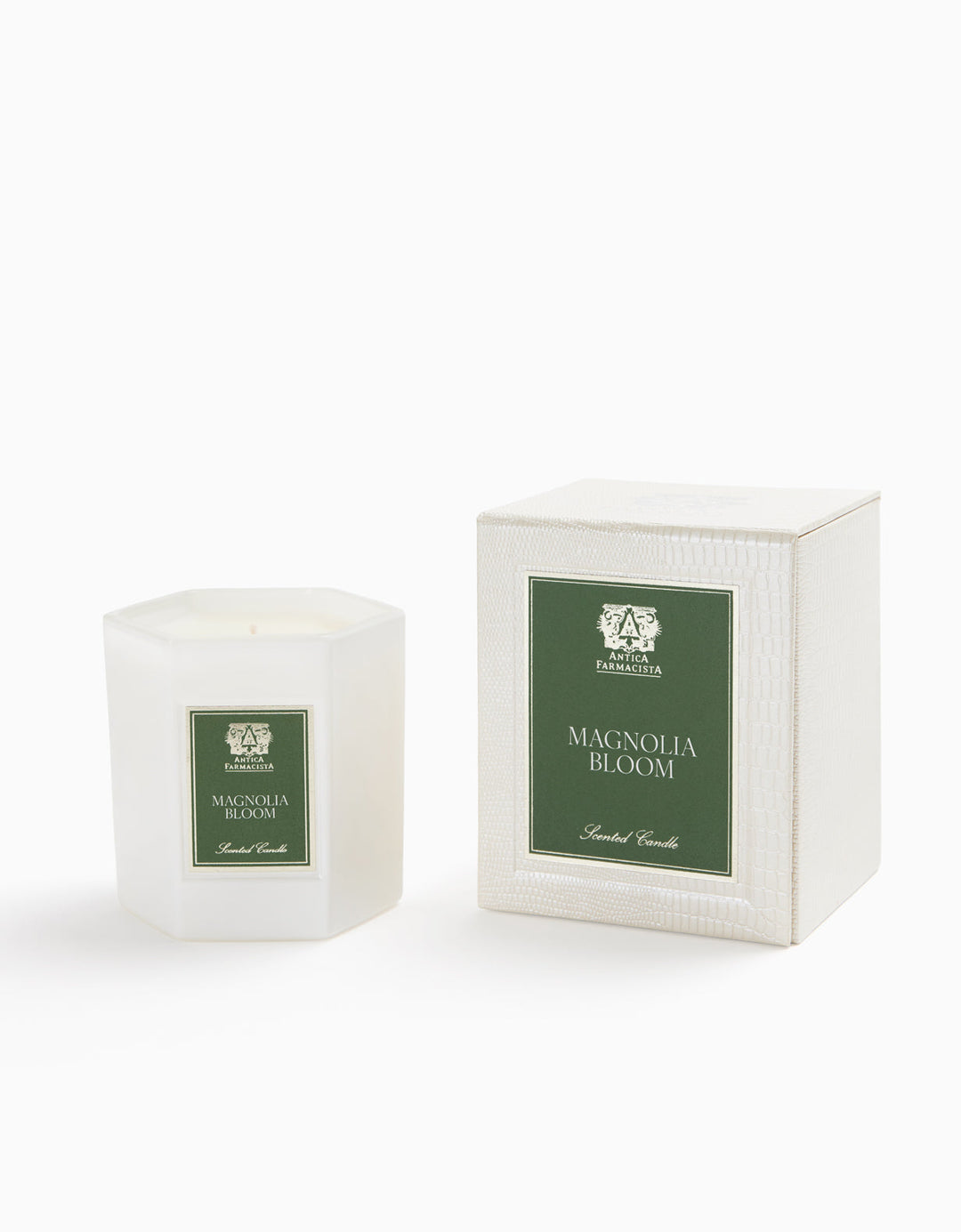 Magnolia Bloom by Antica Farmacista