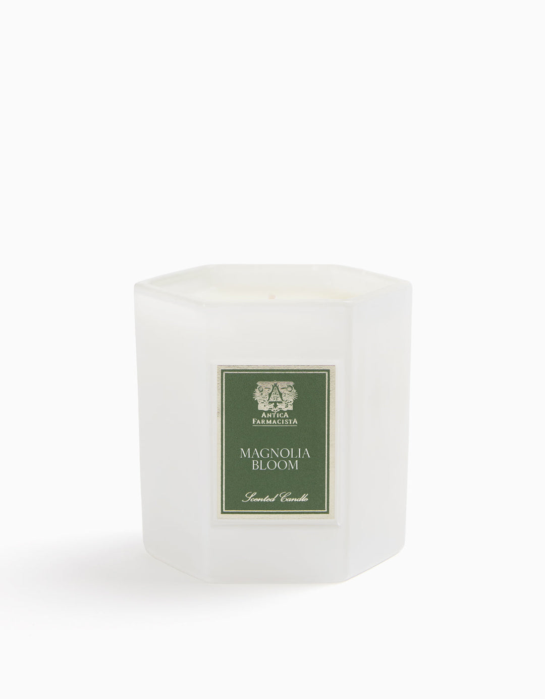 Magnolia Bloom by Antica Farmacista