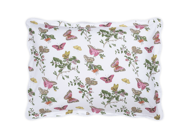 Baudin Butterfly Shams