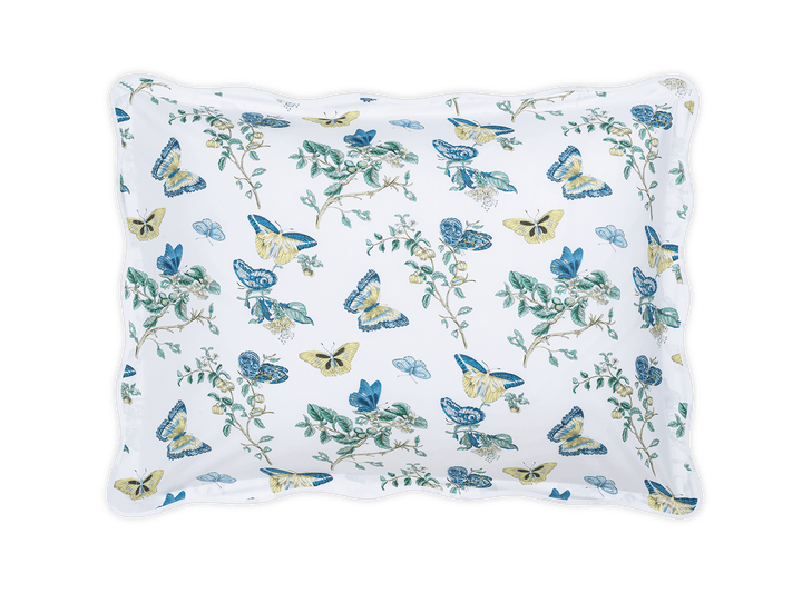 Baudin Butterfly Shams