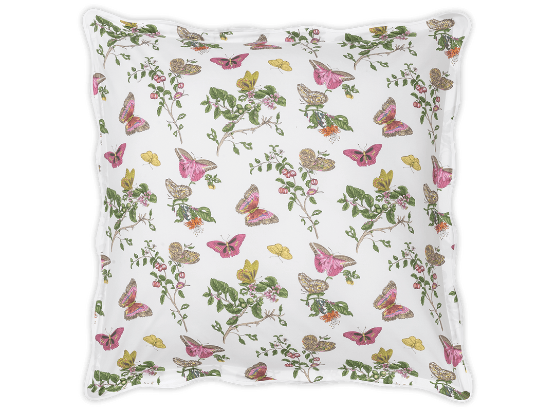 Baudin Butterfly Shams