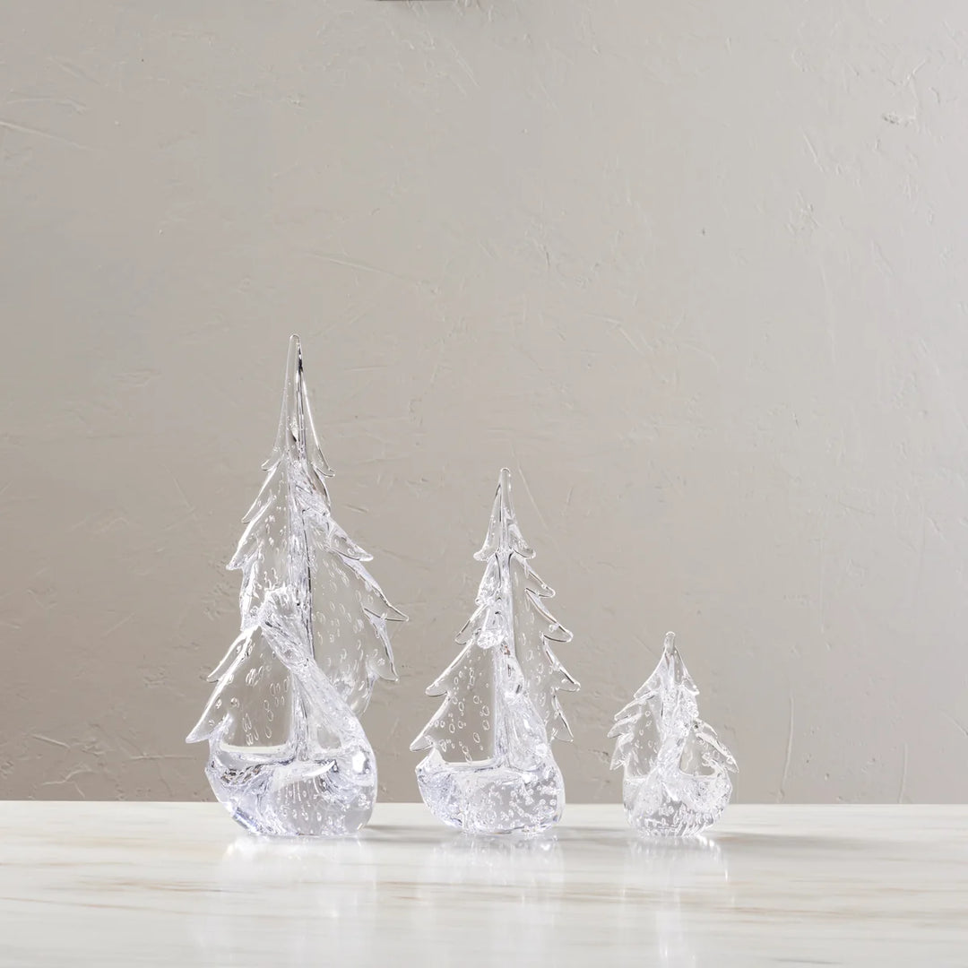 Bubble Twist Evergreen in Gift Box