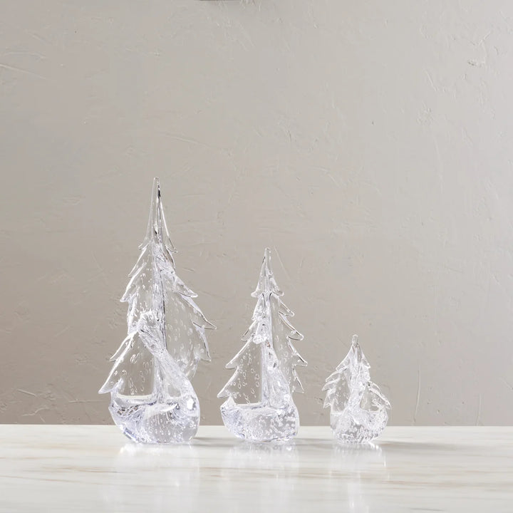 Bubble Twist Evergreen in Gift Box