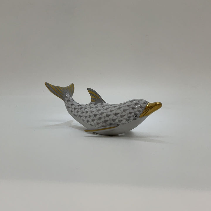 Playful Dolphin