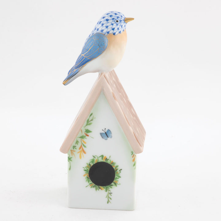 Eastern Bluebird on House