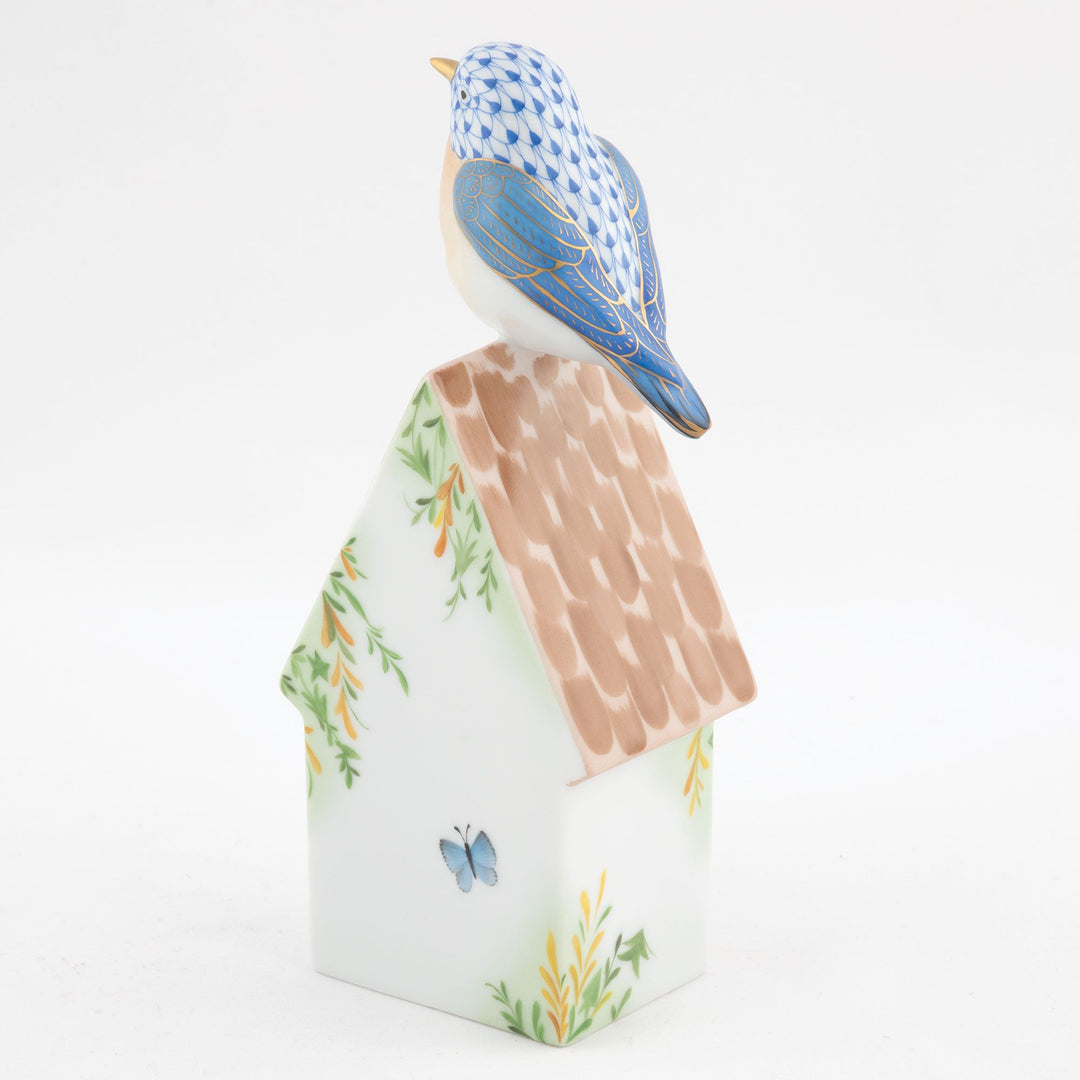 Eastern Bluebird on House