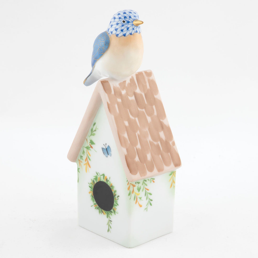 Eastern Bluebird on House