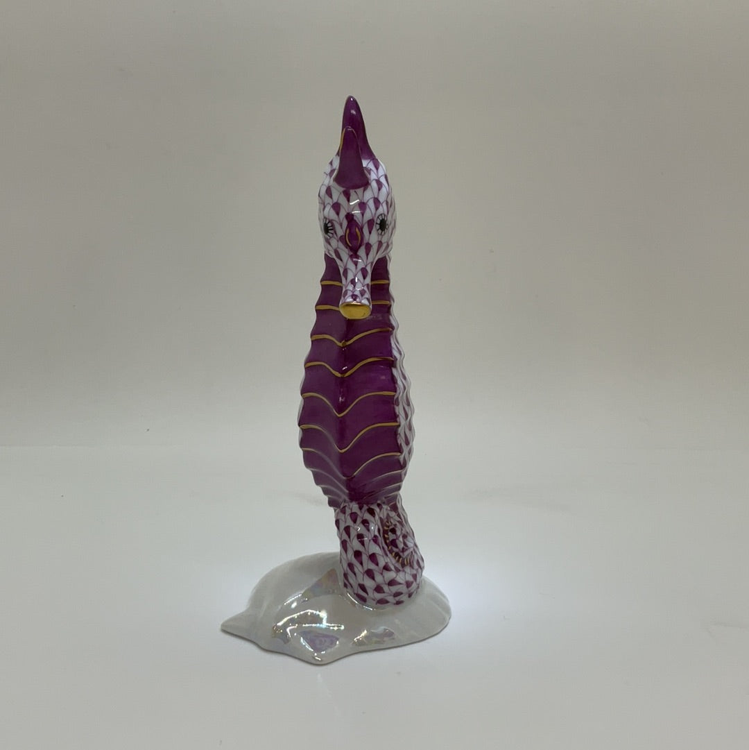 Seahorse On Scallop Shell