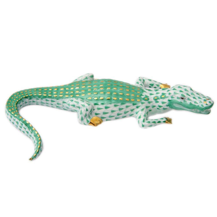 Small Alligator