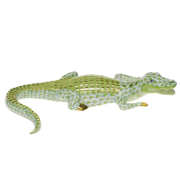 Small Alligator