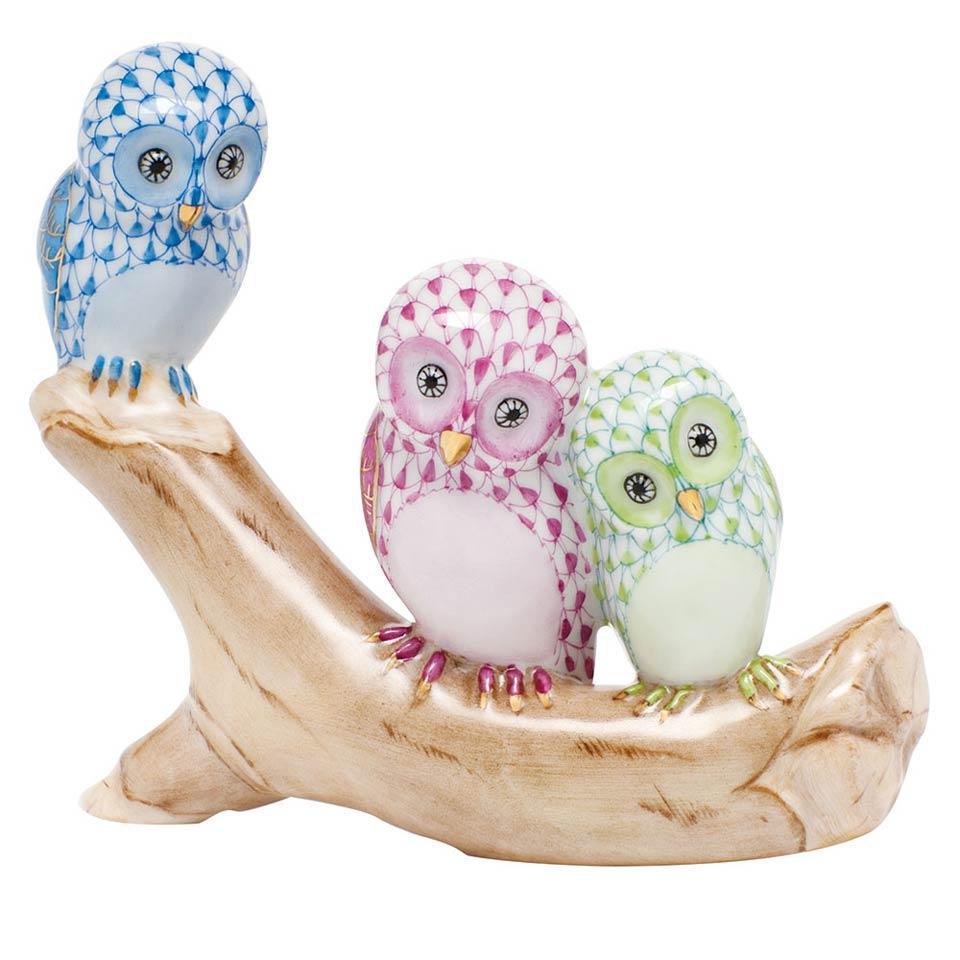 Owls On Branch