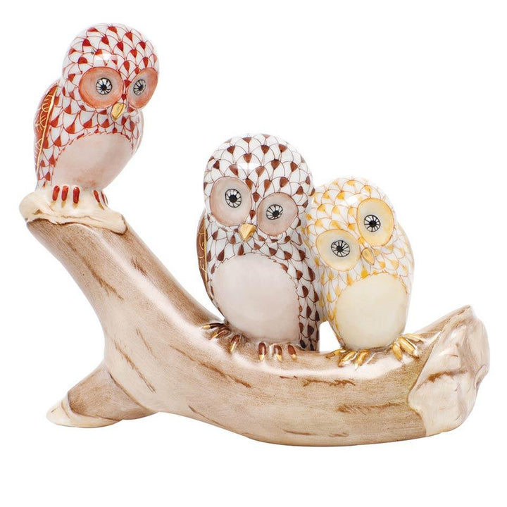 Owls On Branch