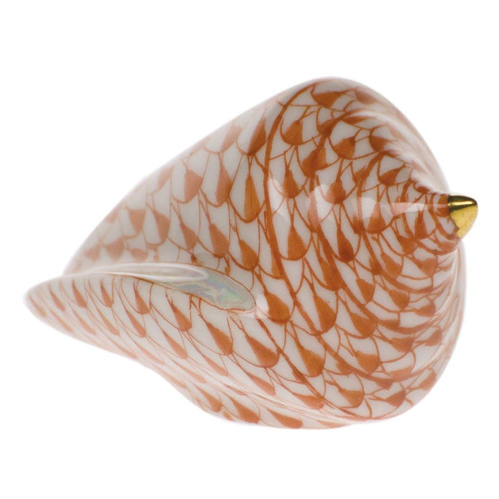 Cone Shell